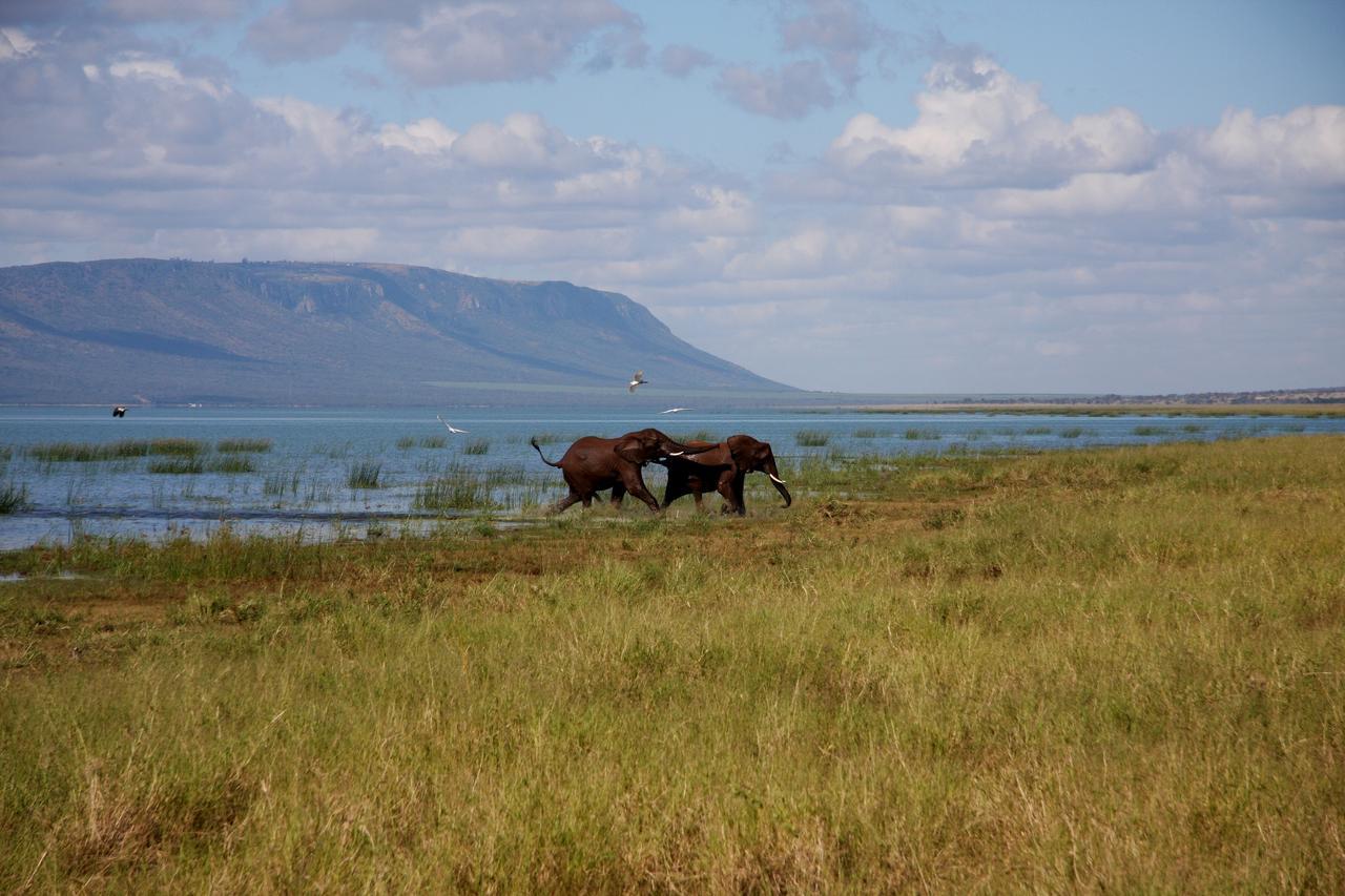 Lodge White Elephant Safaris Pongola
