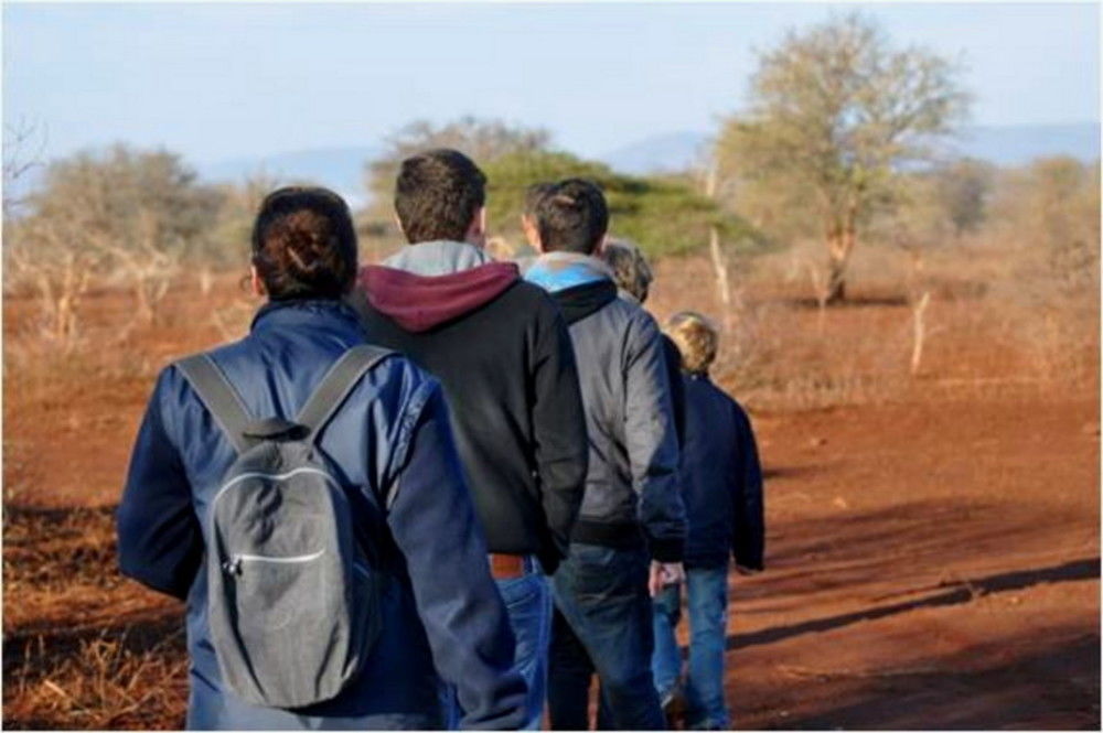 Lodge White Elephant Safaris *