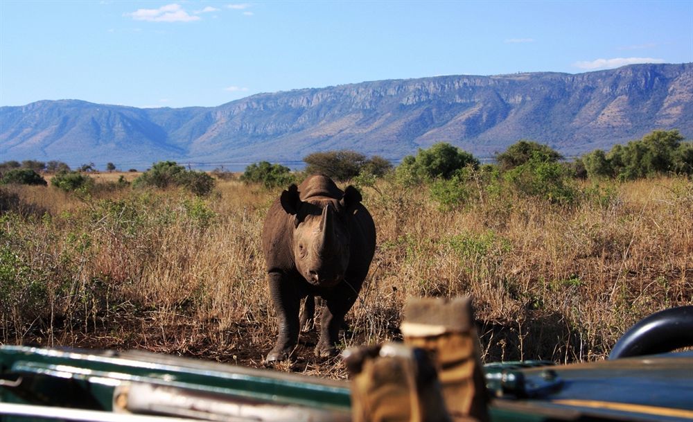 White Elephant Safaris * Pongola
